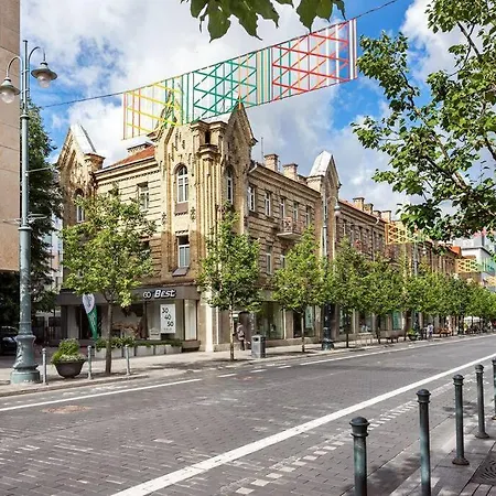Lägenhet Luxury In Gediminas Avenue With Terrace