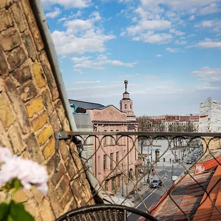 アパート Luxury In Gediminas Avenue With Terrace ヴィリニュス